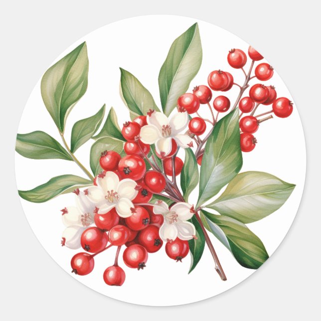 Adesivo Redondo Winter Berry Stickers (Frente)