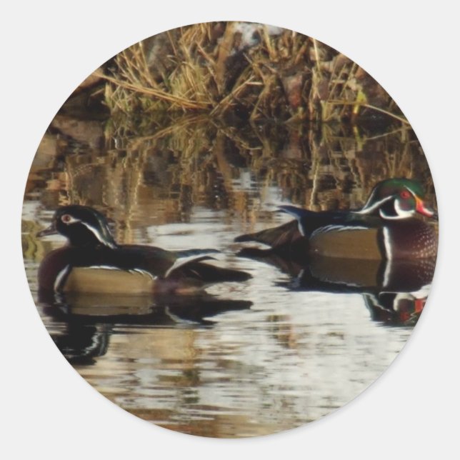 Adesivo Redondo Winterducks14by11 (Frente)