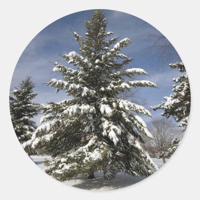 Adesivo Redondo Winters Breing (Frente)