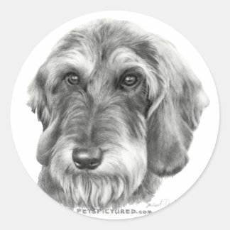 Adesivo Redondo Wire-Haired Dachshund