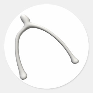 Adesivo Redondo Wishbone