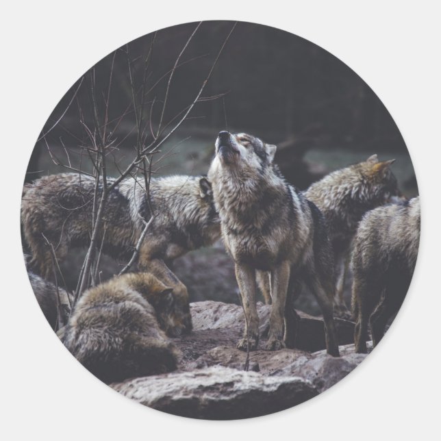 Adesivo Redondo Wolf Pack (Frente)