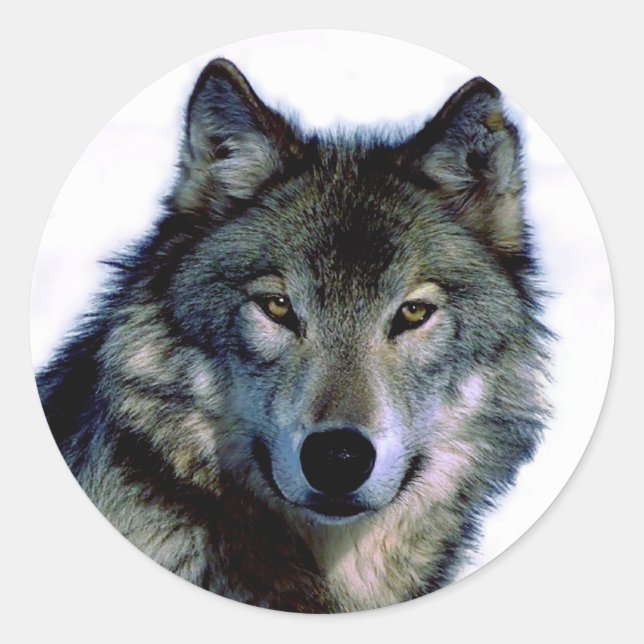 Adesivo Redondo Wolf Portrait (Frente)