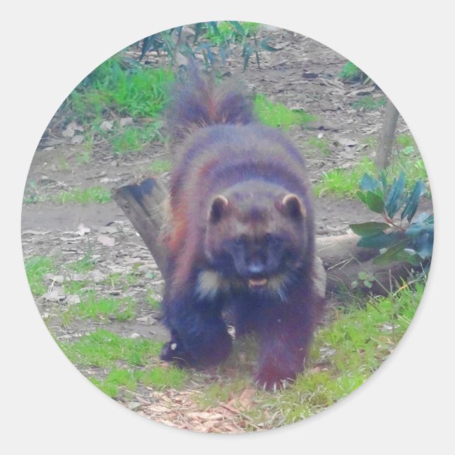 Adesivo Redondo Wolverine nº 1 Stickers (Frente)