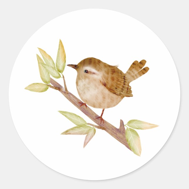 Adesivo Redondo Wren Bird Stickers (Frente)