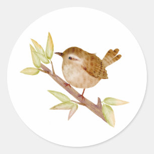 Adesivo Redondo Wren Bird Stickers