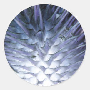 Adesivo Redondo Wulass Grass Ice Princess Sticker