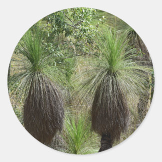 ADESIVO REDONDO XANTHORRHOEA GRASS TREE BUSANT AUSTRÁLIA