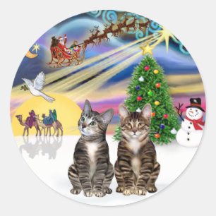 Adesivo Redondo Xmas Magic (R) - Dois Gatos Brown Tabby