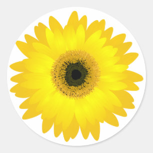 Adesivo Redondo Yellow Gerbera Daisy
