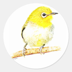 Adesivo Redondo Yellow Viero