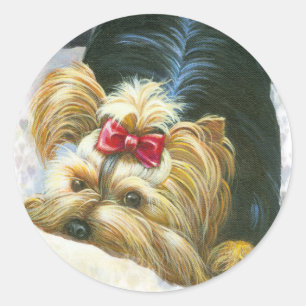 Adesivo Redondo Yorkie Peek a Boo Stickers Yorkshire Terrier