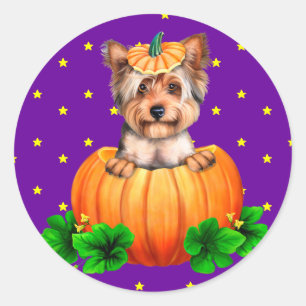 Adesivo Redondo Yorkshire Terrier Halloween Jack-O-Lantern