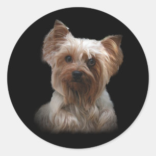 Adesivo Redondo Yorkshire Terrier Sticker