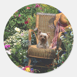 Adesivo Redondo Yorkshire Terrier Sticker Garden