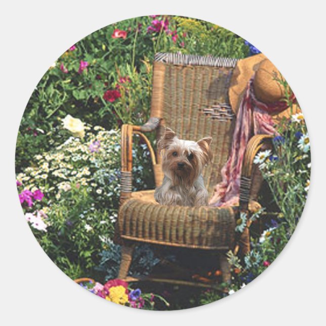 Adesivo Redondo Yorkshire Terrier Sticker Garden (Frente)