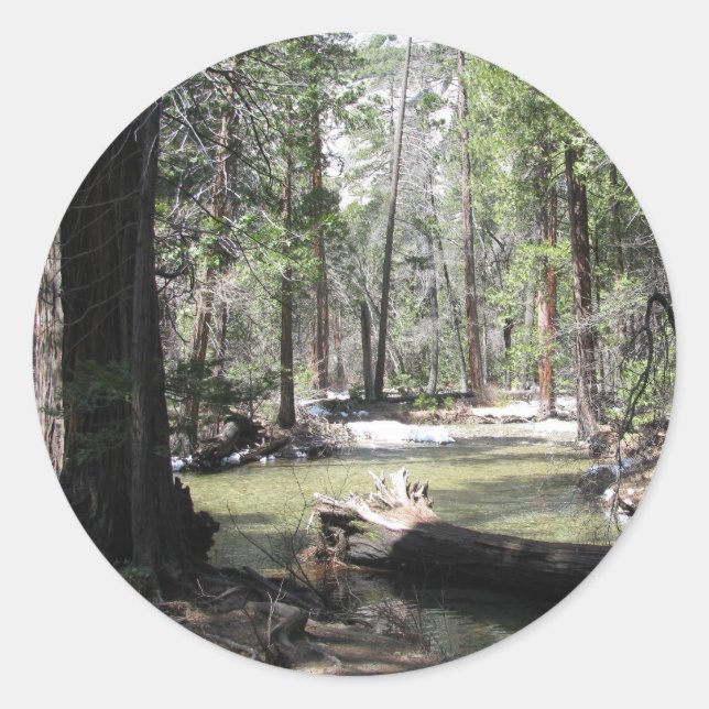 Adesivo Redondo Yosemite Woods (Frente)