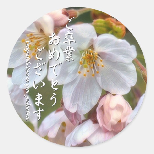 Adesivo Redondo Yoshino Cherry ラウンドシール (Frente)