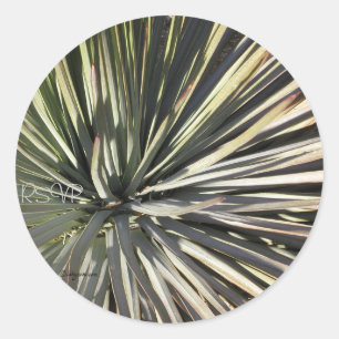 Adesivo Redondo Yucca RSVP Radial Selo de Casamento