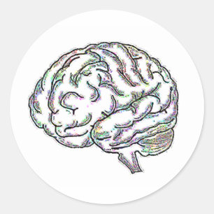 Adesivo Redondo Zany Brainy