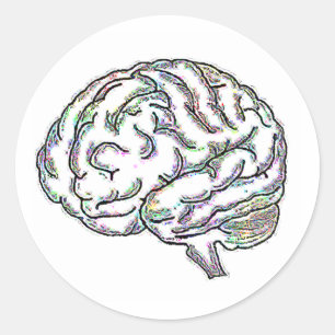 Adesivo Redondo Zany Brainy