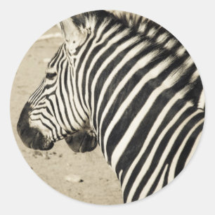 Adesivo Redondo Zebra