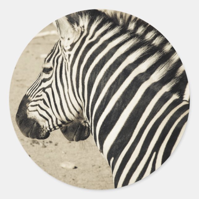 Adesivo Redondo Zebra (Frente)