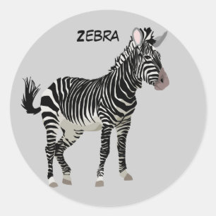 Adesivo Redondo Zebra animado do realista