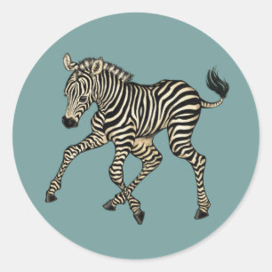 Adesivo Redondo Zebra do bebê
