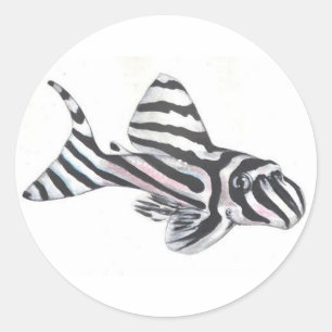 Adesivo Redondo Zebra Pleco L46 Pau-peixe