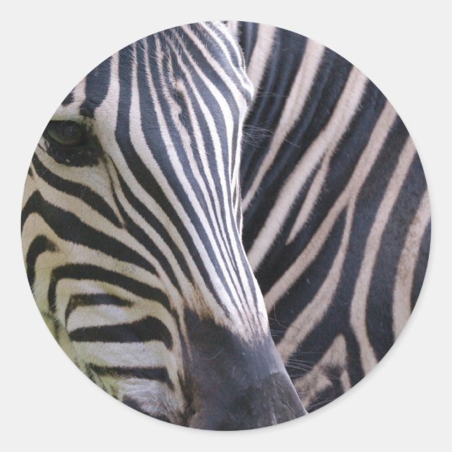 Adesivo Redondo Zebra Sticker (Frente)