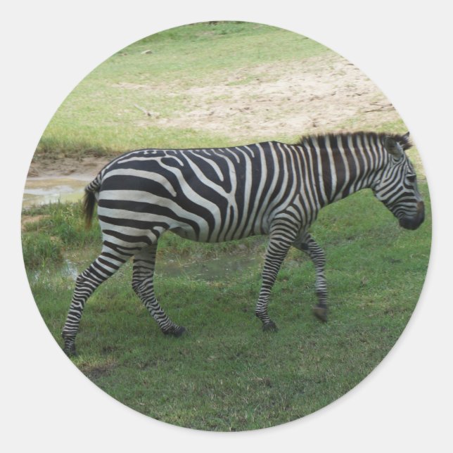 Adesivo Redondo Zebra Stickers (Frente)
