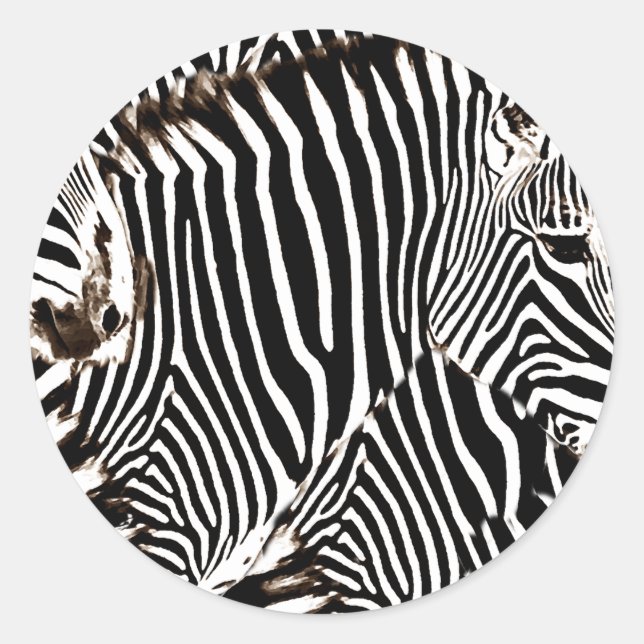 Adesivo Redondo Zebras love_ (Frente)