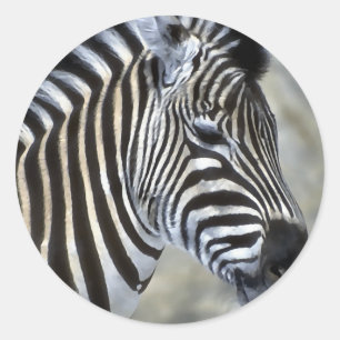 Adesivo Redondo Zebras Lovers Art