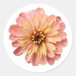 Adesivo Redondo Zinnias Floral Flor Natureza Fotografia
