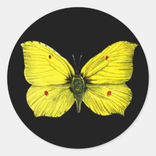 Adesivo Redondo Zitronenfalter