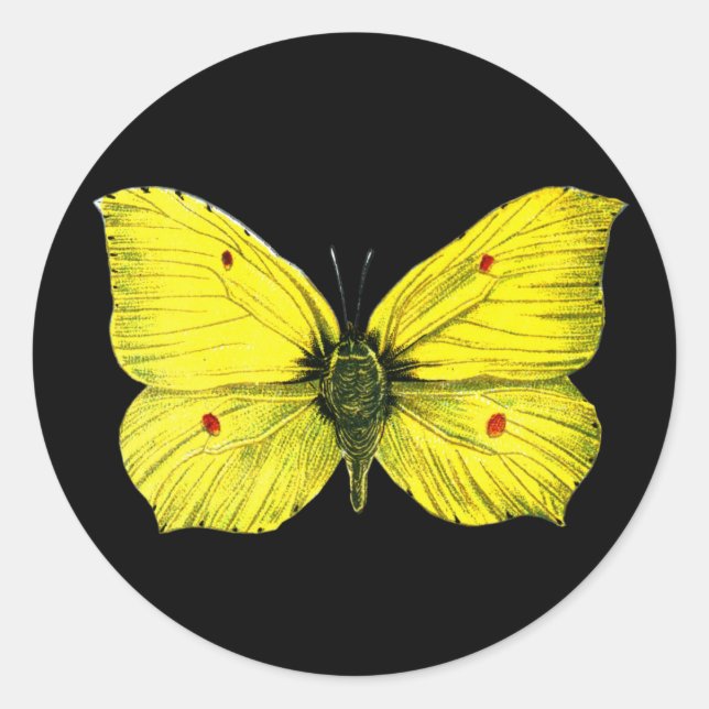 Adesivo Redondo Zitronenfalter (Frente)