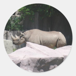 Adesivo Redondo Zoo