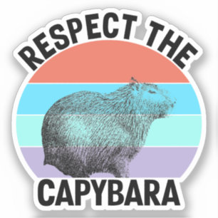Adesivo Respeite O Capivara Roedor Engraçado Capibara