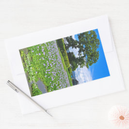 ADESIVO RETANGULAR ホテイアオイ