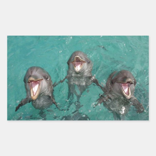 Adesivo Retangular 3 golfinhos (Frente)
