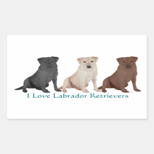 Adesivo Retangular 3Labs