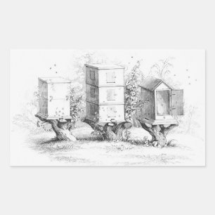 Adesivo Retangular A abelha do vintage encaixota o mel