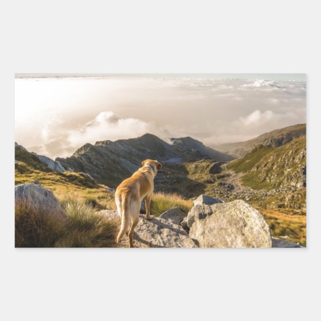 Adesivo Retangular A jornada (Frente)