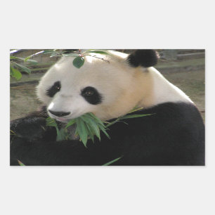 Adesivo Retangular Abraços de urso da panda