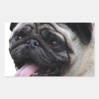 Adesivo Retangular acessorios de foto do Pug branco atraente, adicion
