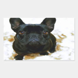 Adesivo Retangular Adorável Bulldog Francês Puppy!