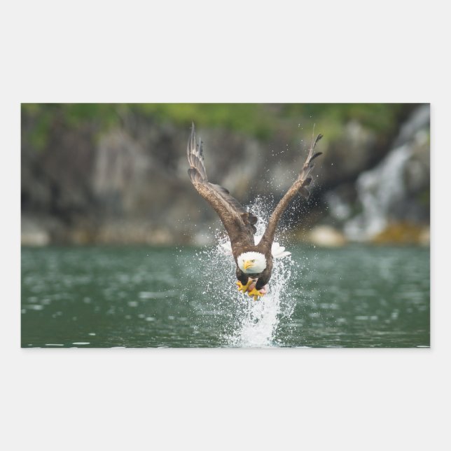 Adesivo Retangular Águia Balda O Grande Captura (Frente)