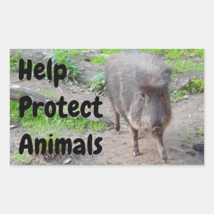 Adesivo Retangular Ajudar a Proteger Animais Peccarias Chacoan #1