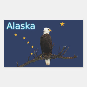 Adesivo Retangular Alaska Eagle e bandeira